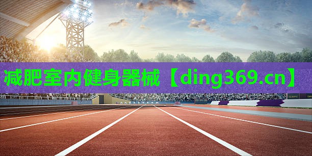 减肥室内健身器械 减肥室内健身器械