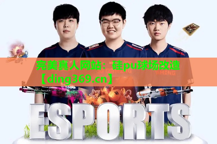 硅pu球场改造 硅pu球场改造