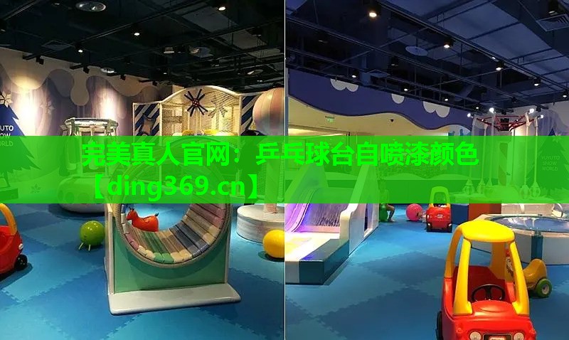 乒乓球台自喷漆颜色 乒乓球台自喷漆颜色