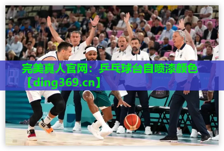 乒乓球台自喷漆颜色 乒乓球台自喷漆颜色
