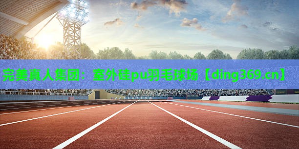 室外硅pu羽毛球场 室外硅pu羽毛球场