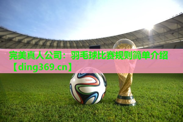 羽毛球比赛规则简单介绍 羽毛球比赛规则简单介绍