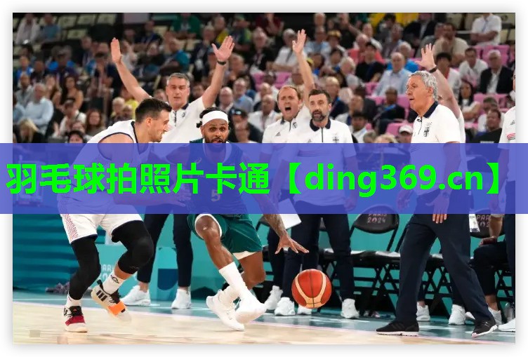 羽毛球拍照片卡通 羽毛球拍照片卡通