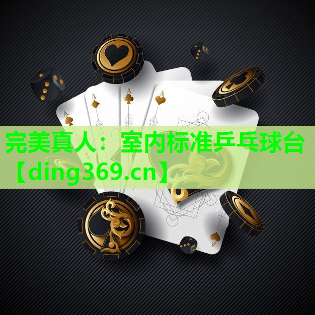 室内标准乒乓球台 室内标准乒乓球台